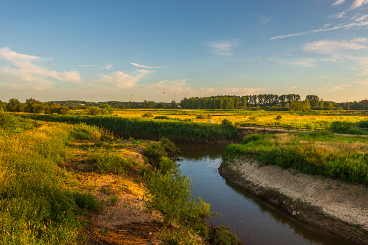 De kabbelende rivier de Demer die langs het natuurgebied in Diest stroomt