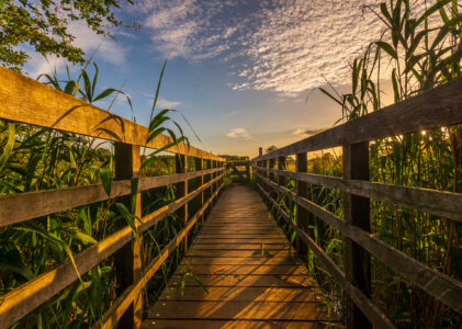 Wandelen in Diest: De mooiste wandelroutes
