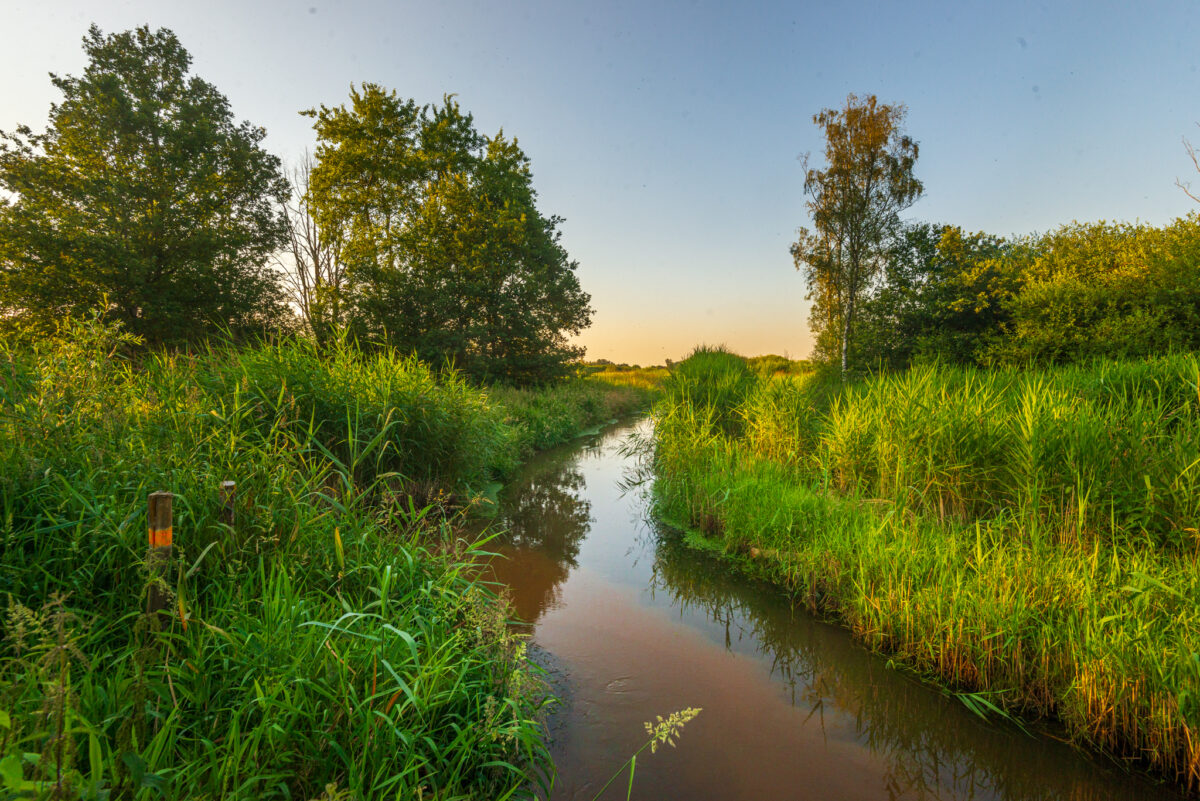 Waterloop met kenmerkend roestbruin water in de Vallei van de Drie Beken, gefotografeerd door Bert Beckers.