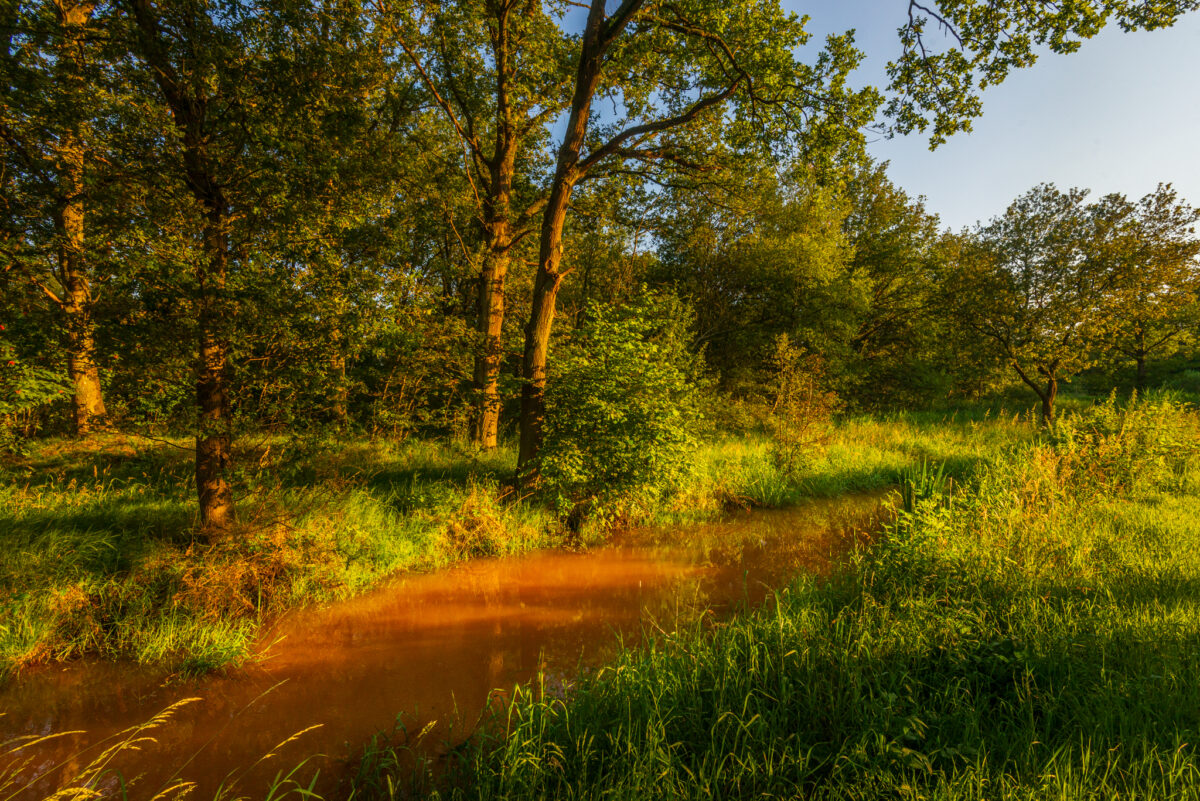 Landschapszicht op een meanderende beek met kenmerkend roestbruin ijzerhoudend water in de Vallei van de Drie Beken, door Bert Beckers.