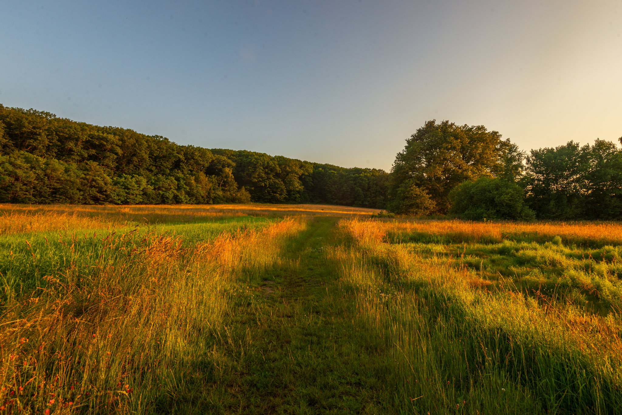 Gezicht op het open landschap in de Vallei van de Drie Beken tijdens het gouden uurtje, gefotografeerd door Bert Beckers.
