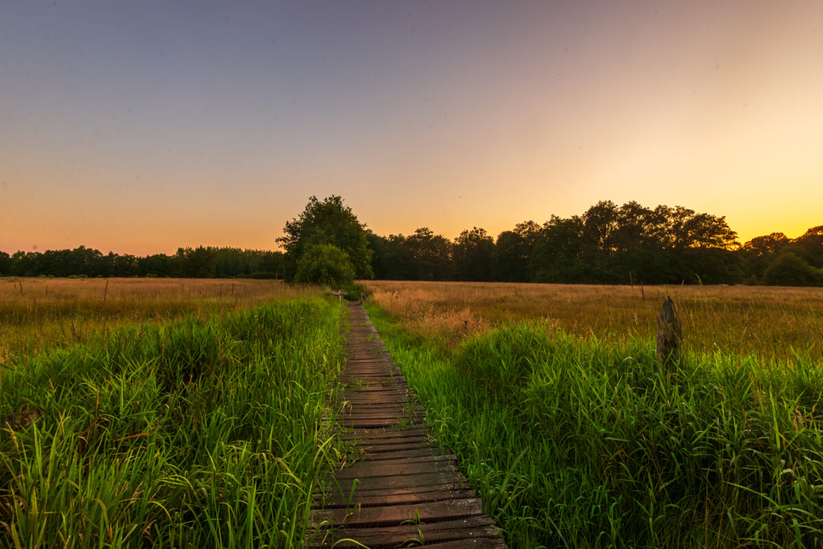 Een houten vlonderpad dat door het weidse landschap van de Vallei van de Drie Beken loopt, gefotografeerd door Bert Beckers.