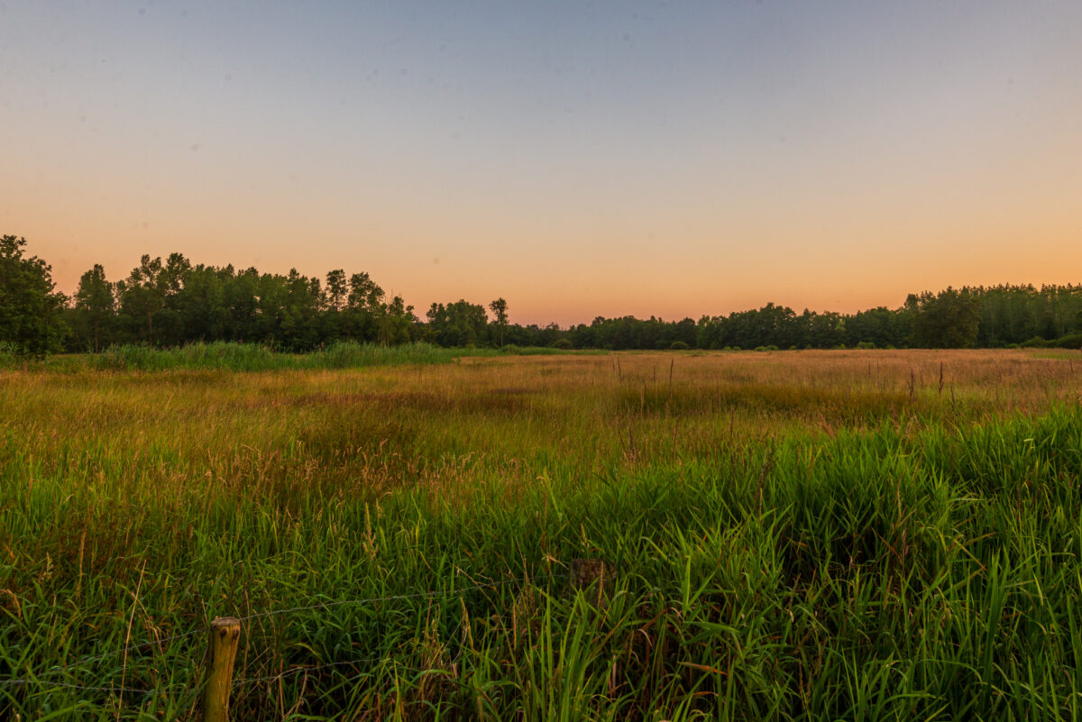 Overzicht van het open landschap in de Vallei van de Drie Beken tijdens het gouden uurtje, gefotografeerd door Bert Beckers.